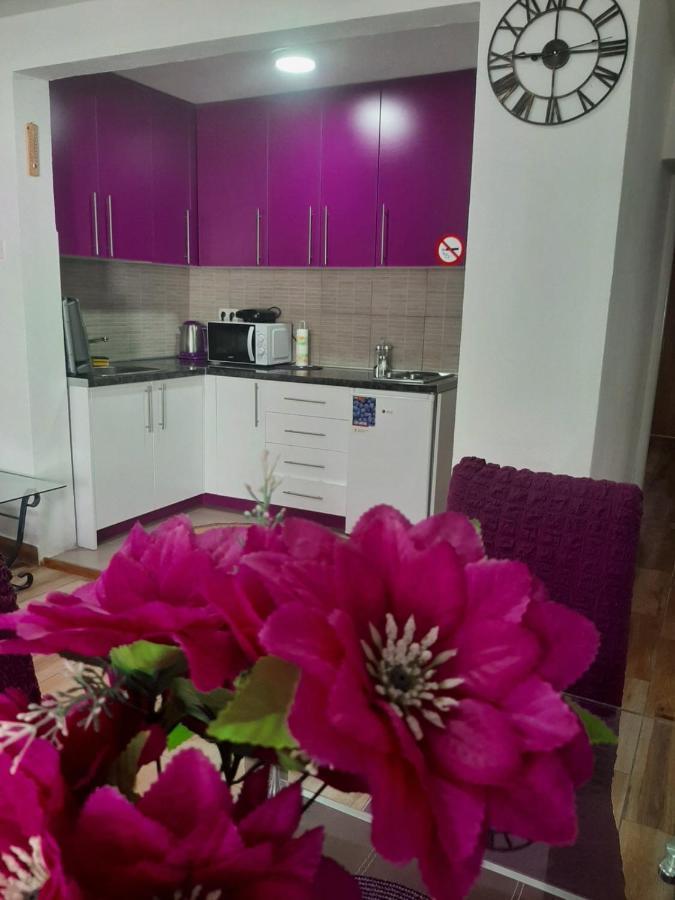 Family Apartment Near Old Town Mostar Kültér fotó